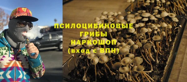 PSILOCYBIN Верхнеуральск